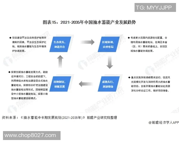 深入分析RNG战队的运营策略与战术布局全景解读